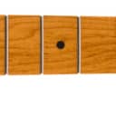 Fender Roasted Maple Stratocaster Neck, 21 Narrow Tall Frets, 9.5", Maple, C Shape 0990502920