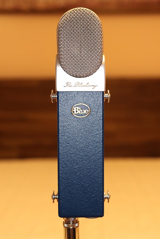 Blue Blueberry Microphone