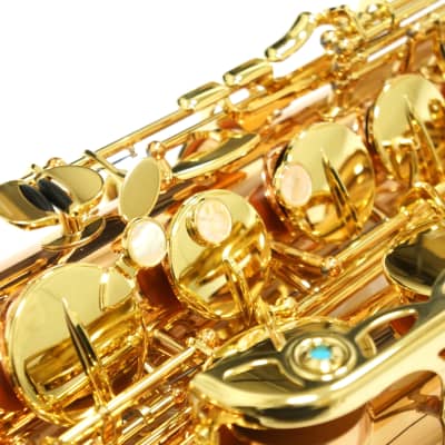 Free shipping! 【Special price】 Yanagisawa T-WO2(TWO2) Bronze Tenor Saxophone image 5