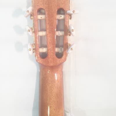 Cordoba Classical Guitar Iberia Series Model C-5 New Includes Setup, Warranty! image 6