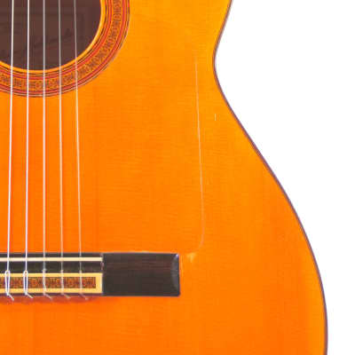 Pedro Maldonado Sr. 1971 flamenco guitar - traditionally built - powerful and deep sound + video image 3