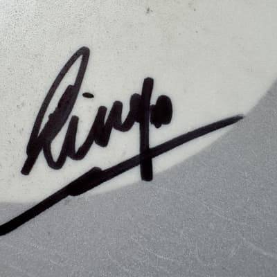 Ringo Starr's Stage Played and Signed  14" Remo Snare Drum Head. Authenticated! image 1