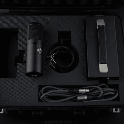 Warm Audio Large Diaphragm Tube Condenser Microphone w/ Case - WA-8000 image 4