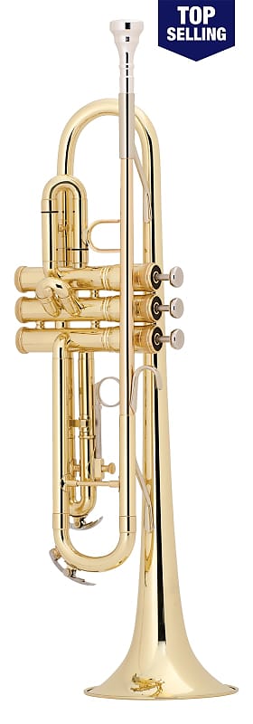 King 601 Trumpet CLOSEOUT PRICE! | Reverb