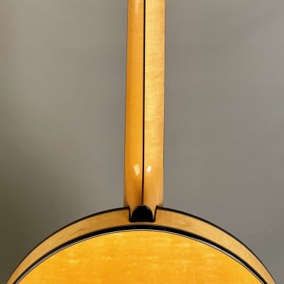 Stelling Whitestar 5-String Banjo 1980 Natural image 18