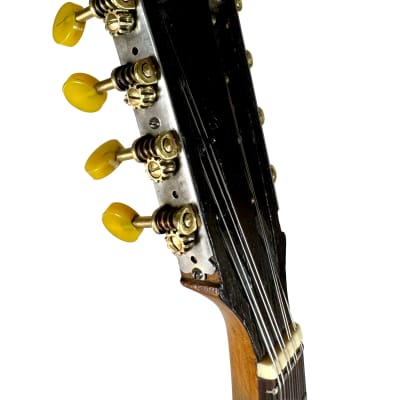 Concert Mandolin Emanuele Egildo N°299 from 1912 image 13