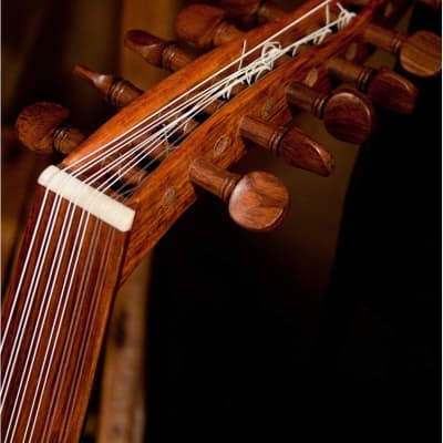 Arabic Oud W/ Soft Case Package Includes: Classic Arabic Oud W/ Soft Gig Bag Case + Arabic Oud Repla image 7