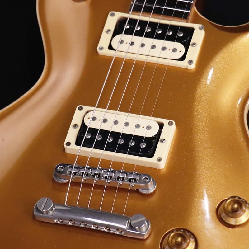 Fujigen Expert Flame EFL-HM ORDER MODEL Gold Top | Reverb