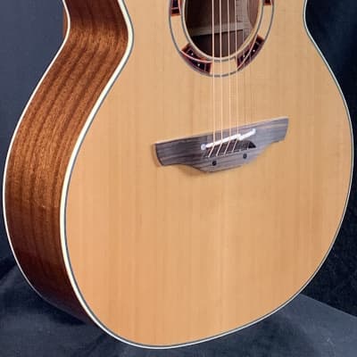 Takamine DSF46C World Standard Series Santa Fe MIJ w/case Takamine DSF46C World Standard Series Santa Fe MIJ w/case