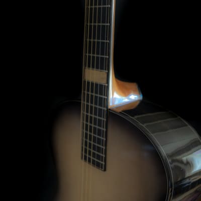 Skytop "Dark Side of the Moon" Acoustic Guitar image 8