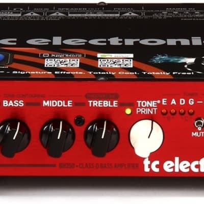 TC Electronic BH250 250-watt Compact Bass Head image 1