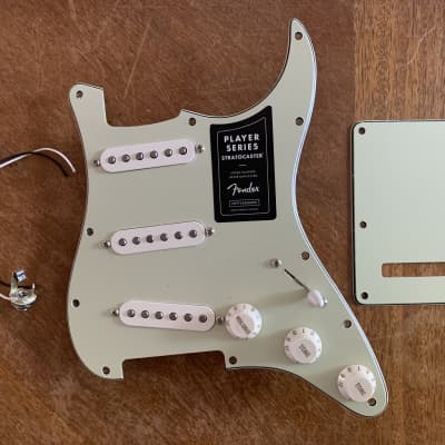 Fender Player Series Stratocaster Loaded Pickguard and Tremolo Plate in Mint image 1