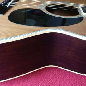 【ネット限定】 OOO F-20 Morris size 1970's Case Hard + Gakki Terada guitar, その他