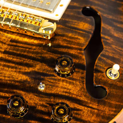 PRS Paul Reed Smith Hollowbody II Owned by Nils Lofgren image 9
