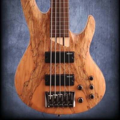 ESP LTD B205SM-FL Fretless 5 String Electric Bass Guitar Natural Satin image 3