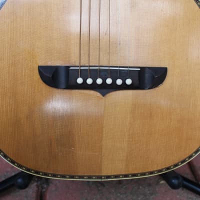 Stunning Vintage 1920s Stromberg Viosinet Parlor Acoustic Slide Guitar USA Rare Kay Bruno Harmony image 13