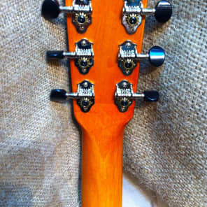 Gretsch G9460 Dixie 6-String Banjo 6-String Banjo image 5