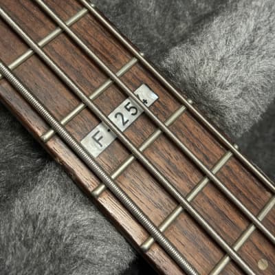ESP LTD F-254 Bass Titanium Metallic image 3