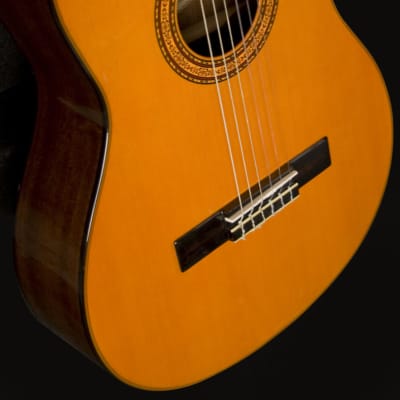 Guitare Classique Takamine série G1 - La Maison de la Musique