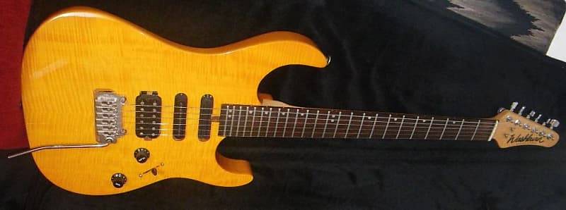 Washburn MG701