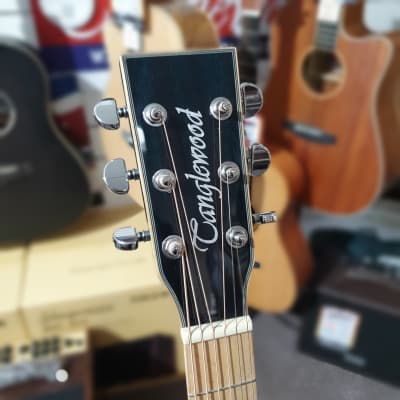 Tanglewood TW5BLA Winterleaf Blonde Dreadnought Acoustic Guitar (Aquamarine) image 5