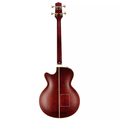 Takamine TB10 Pro Series Archtop Cutaway Acoustic/Electric Bass Red Stain |  Reverb