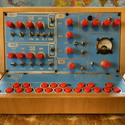 Reco-Synth Mutuca FM - Analog Synthesizer by Arthur Joly - Ultra Rare image 1