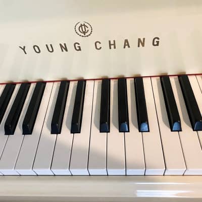 YOUNG CHANG G-157 - 5'2'' baby grand white piano image 5