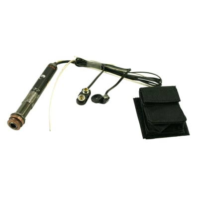 L.R. Baggs Dual Source | Reverb