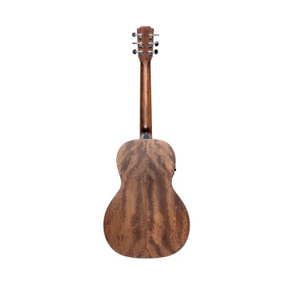 Acoustic Guitar JAMES NELIGAN Dov PFI + Fishman Pickup - solid mahogany top image 2
