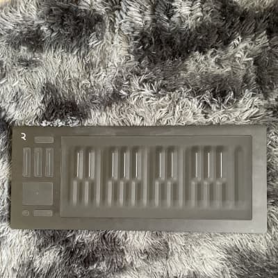 ROLI Seaboard Rise 25 Review — loops de la crème