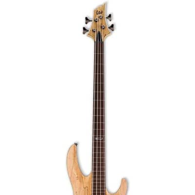 ESP LTD B-204SM Fretless Bass Guitar image 3
