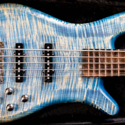 Warwick Custom Shop 2015 Limited Edition Streamer LX 5