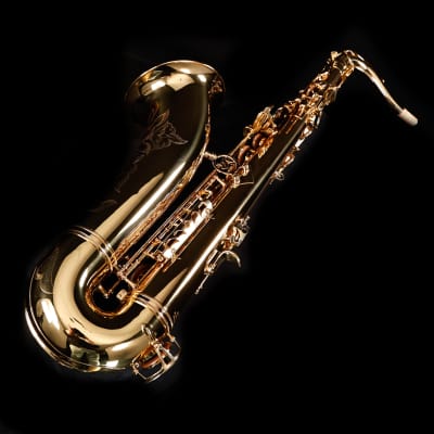 Selmer STS411 Step-Up Tenor Saxophone Outfit-Lacquer image 4