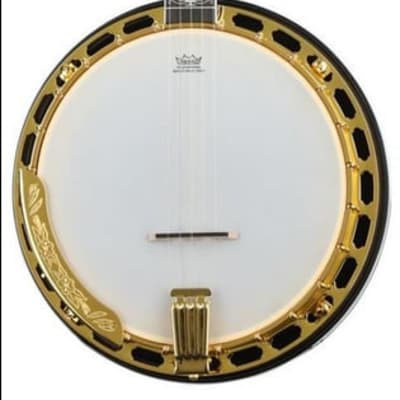 Washburn B17K-D Americana Series 5-String Resonator Banjo, B-Stock image 2