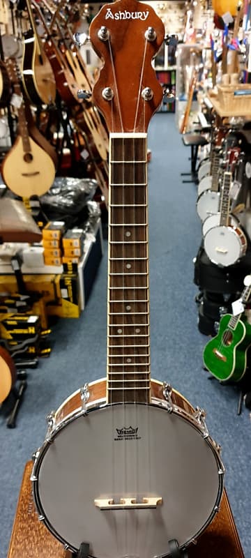 Ashbury AB 38 Ukulele Banjo Reverb