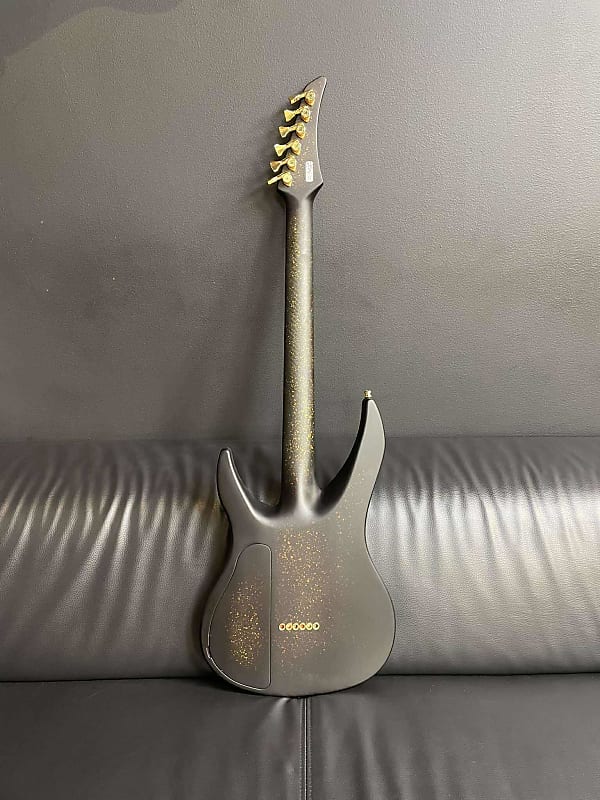 RUF Guitars Professor Schrödinger 6 Professor Schrödinger 6 Sombrero Zebra Satin – Ruf Guitars