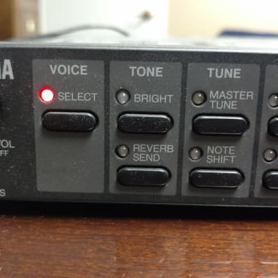 Yamaha P50-m Piano Sound Module | Reverb