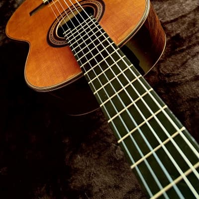 ARNULFO RUBIO Double Top with Nomex Grand Concert Master Grade-Cedar/Ancient Brazilian Rosewood image 15