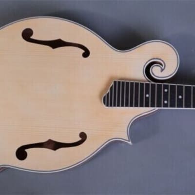 DIY-MAKE YOUR OWN KENTUCKY STYLE F HOLE 8 STRING CARVED TOP ACOUSTIC MANDOLIN image 4