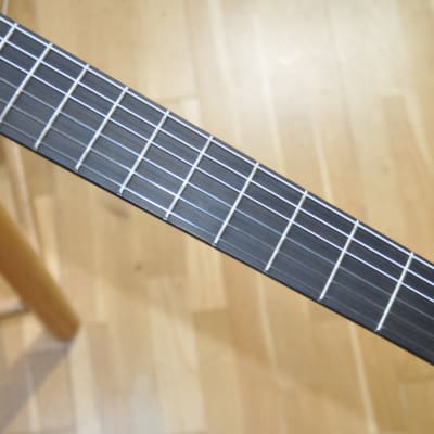 LAG Tramontane Sauvage N ASCE / Slim Auditorium Electro Nylon Strings / Green Guitars Series / by Maurice Dupont image 10