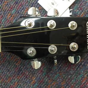 Giannini-Dreadnought Acoustic Guitar-GF-1R CEQ BK-New-Includes Shop Setup! image 5