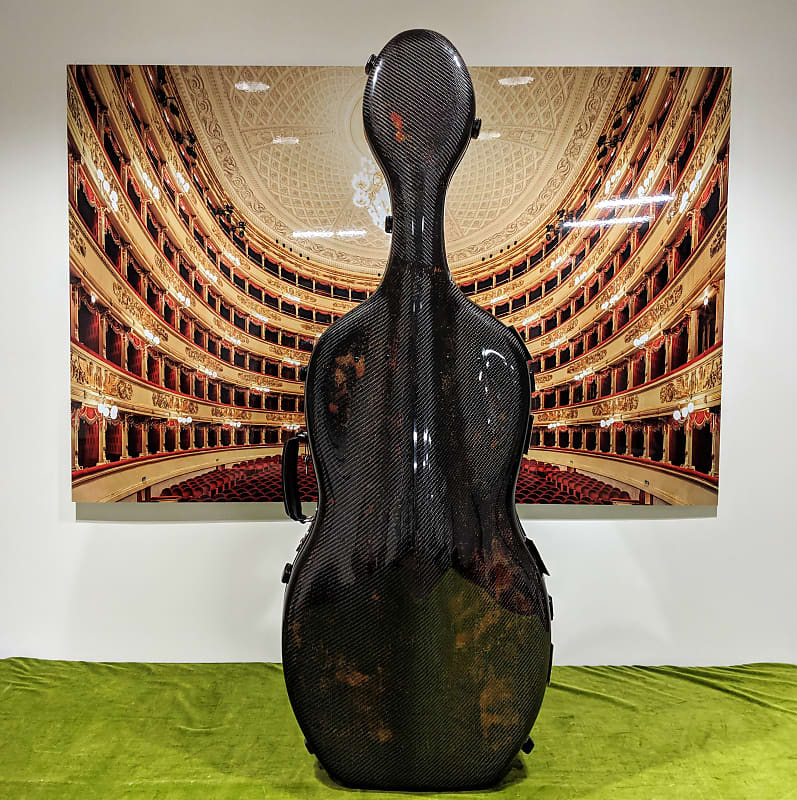 Accord 'Robust' Medium 4/4 Cello Case in 3D Safari Reverb