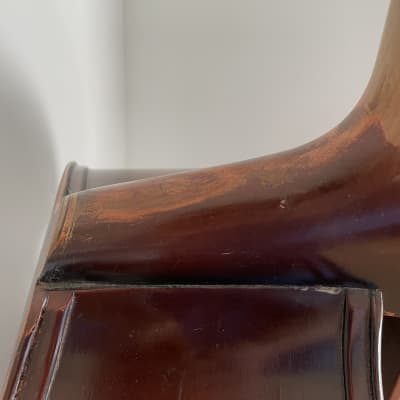 1955 American Standard upright bass image 8