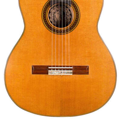 David Daily 2007 Classical Guitar Cedar/CSA Rosewood image 1