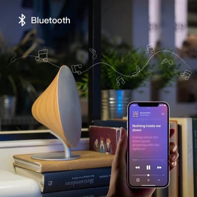 Retro Bluetooth Speaker - TWS Wood color image 10
