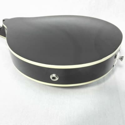 Caraya MA001EBS A-Style Electric-Acoustic Mandolin,Vintage Sunburst,F-holes+Bag image 9