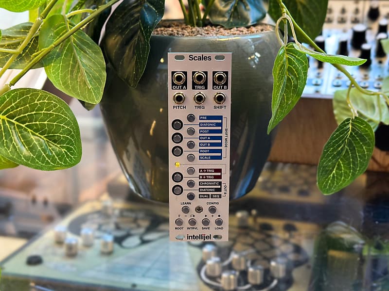 Intellijel Scales