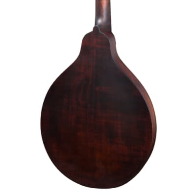 Eastman MD304 Mandolin A-style with Oval Hole and Classic Finish, with gig bag image 4