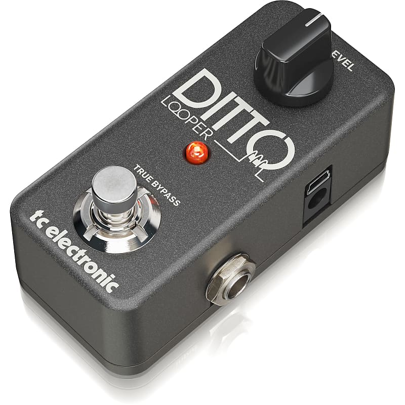 中古] TC Electronics / DITTO LOOPER - エフェクター専門店ペダルディグ